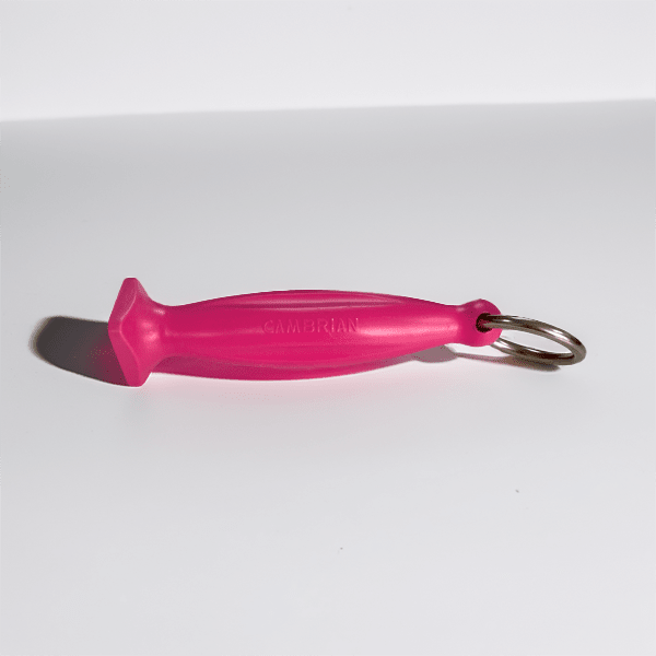 Cambrian Steel Handle Pink